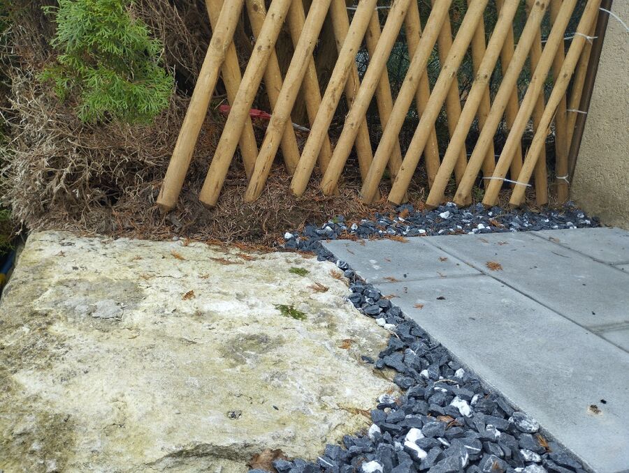 ratten_bekaempfung_ratten_vertreiben