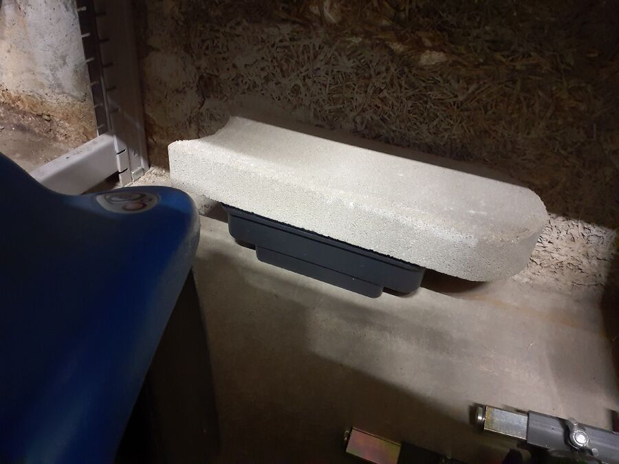 ratten_bekaempfung_ratten_vertreiben