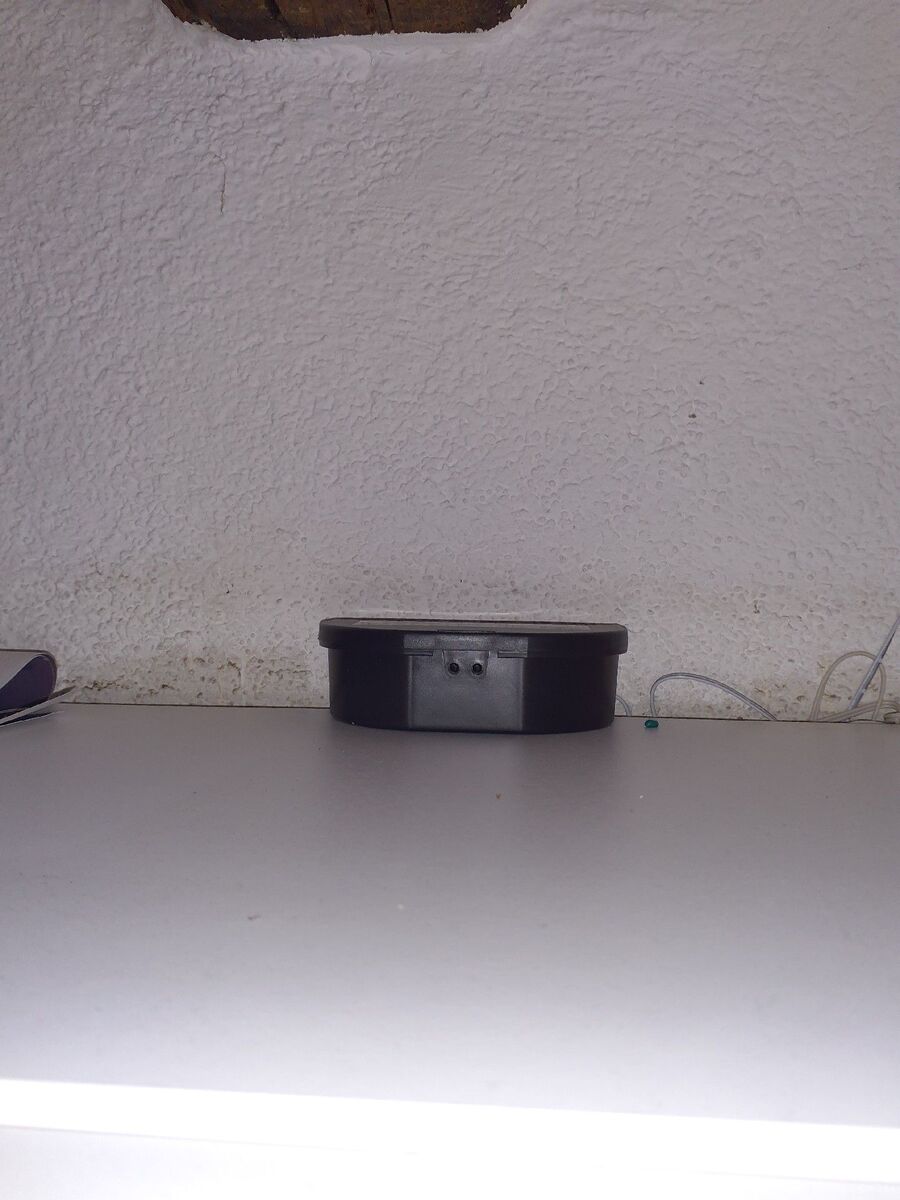 ratten_bekaempfung_ratten_vertreiben