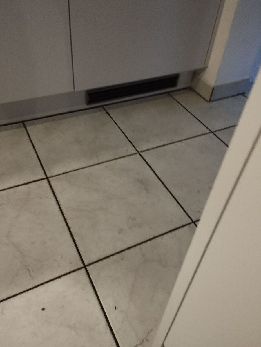 ratten_bekaempfung_ratten_vertreiben