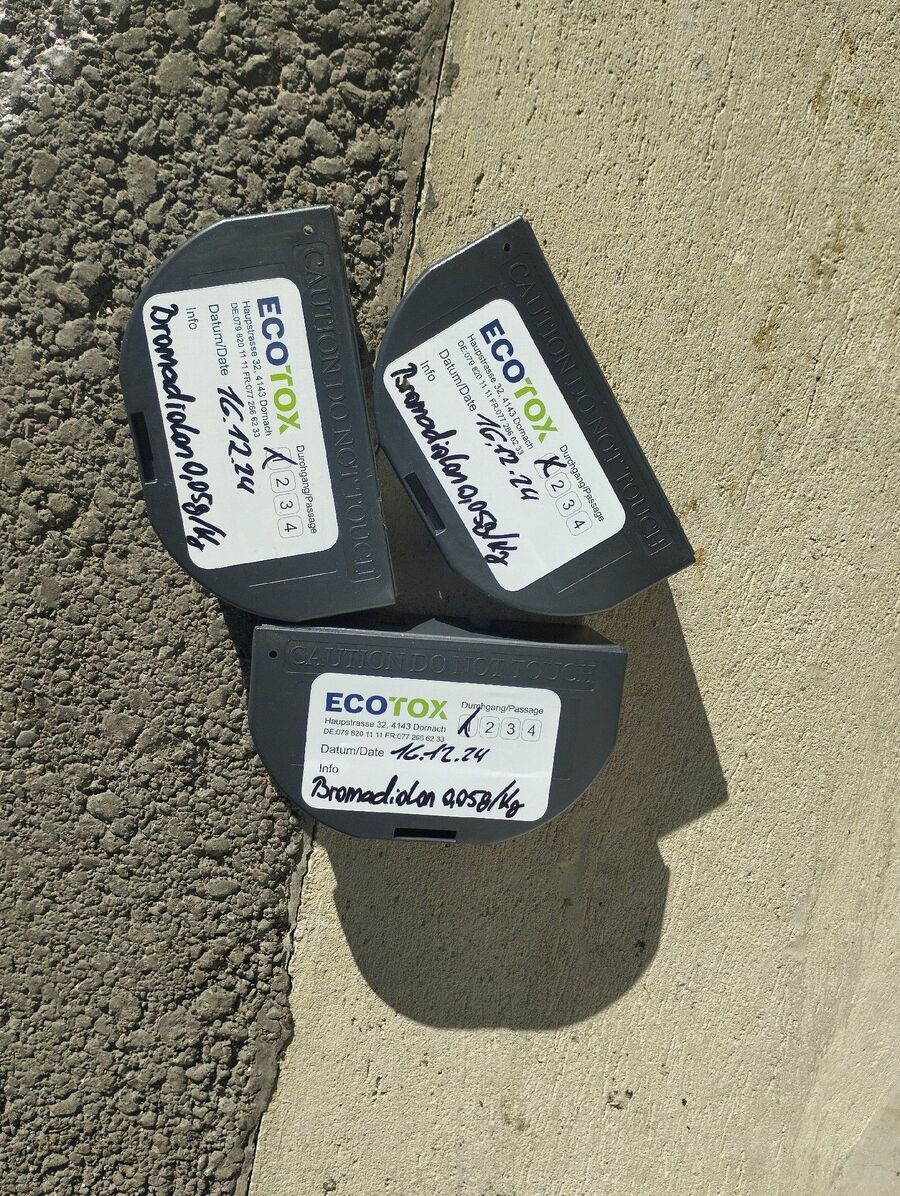 ratten_bekaempfung_ratten_vertreiben