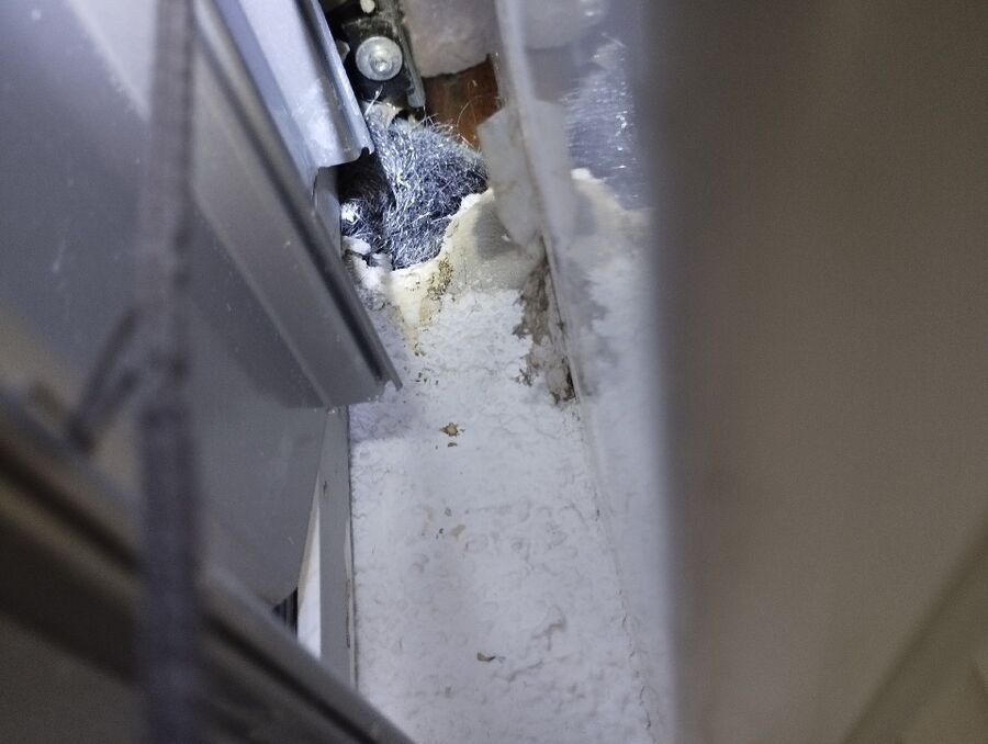 ratten_bekaempfung_ratten_vertreiben