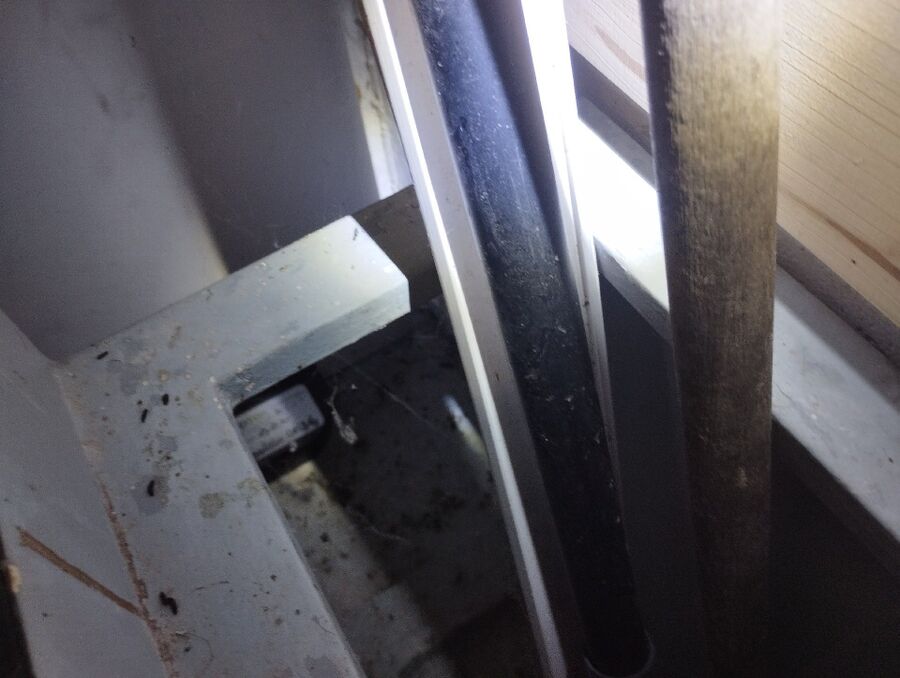 ratten_bekaempfung_ratten_vertreiben