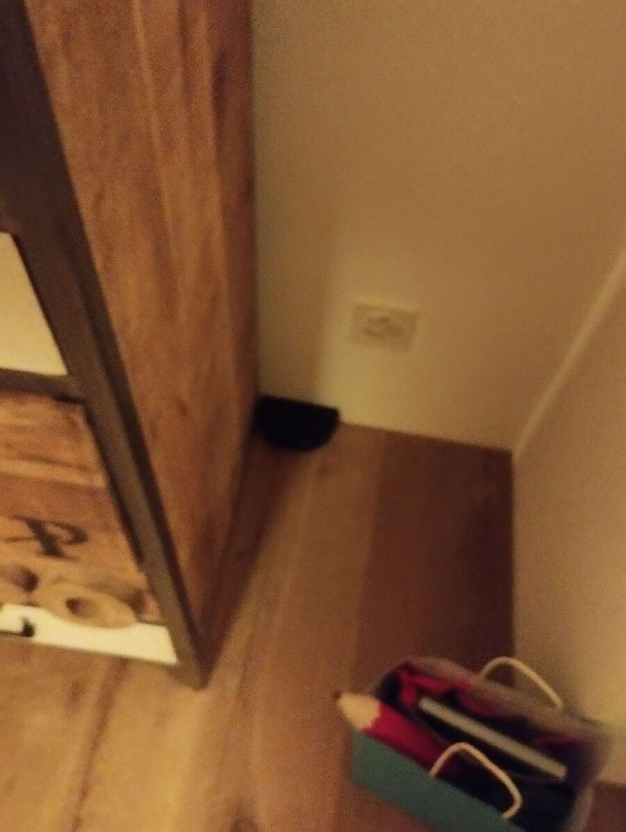 ratten_bekaempfung_ratten_vertreiben