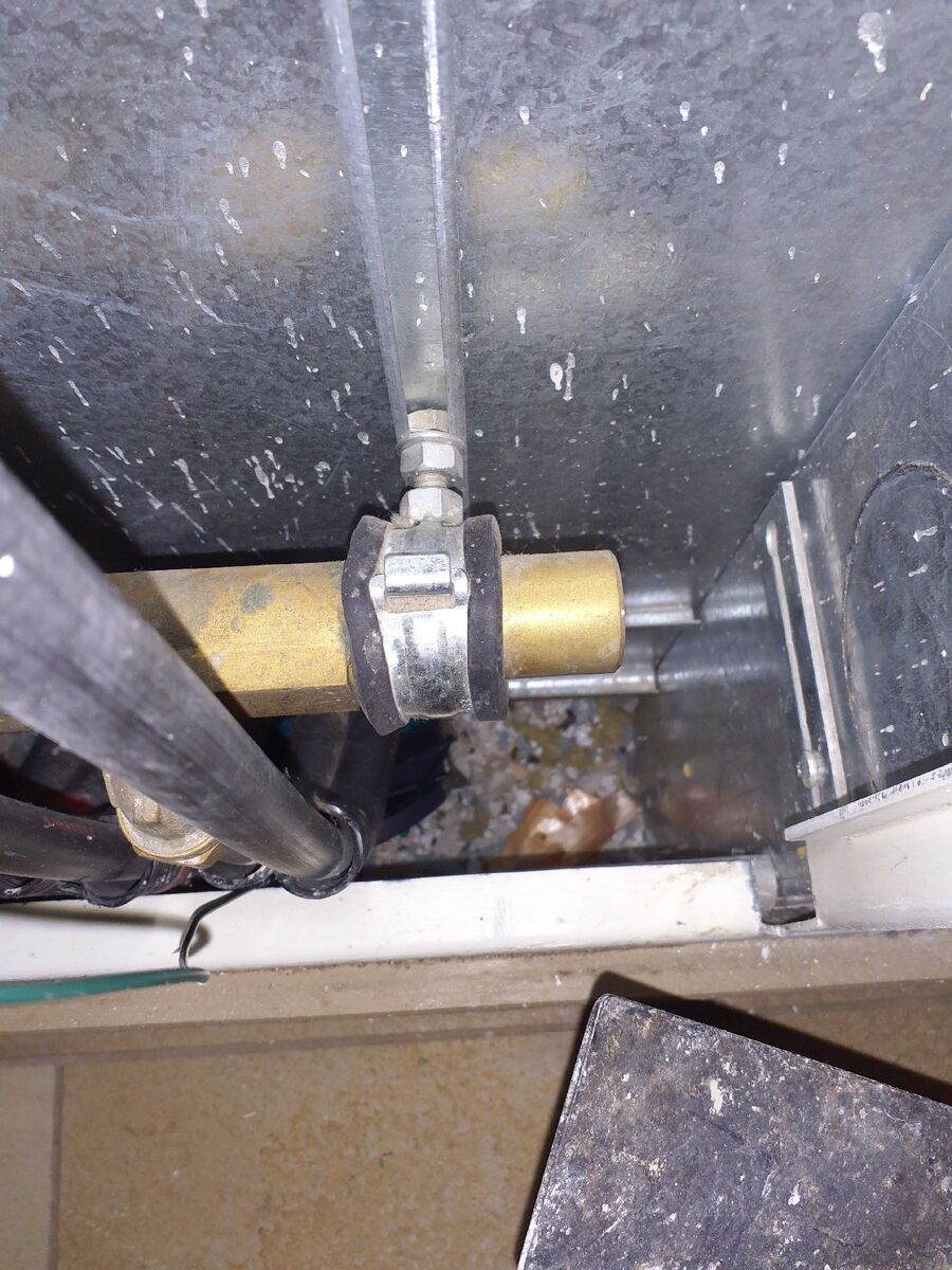 ratten_bekaempfung_ratten_vertreiben