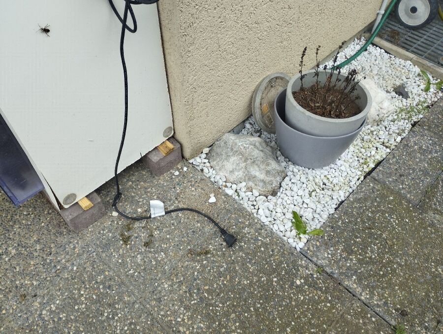 ratten_bekaempfung_ratten_vertreiben