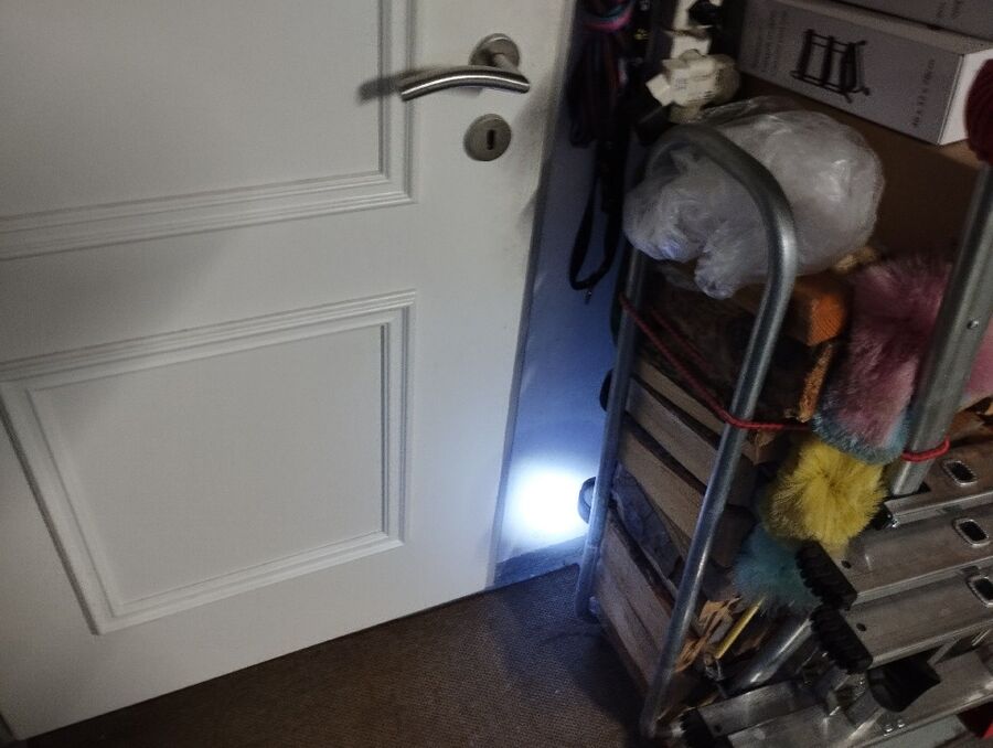 ratten_bekaempfung_ratten_vertreiben