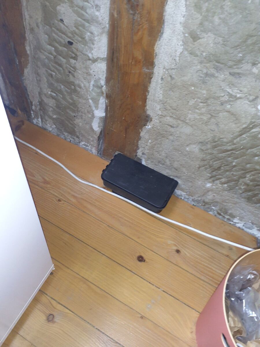 ratten_bekaempfung_ratten_vertreiben