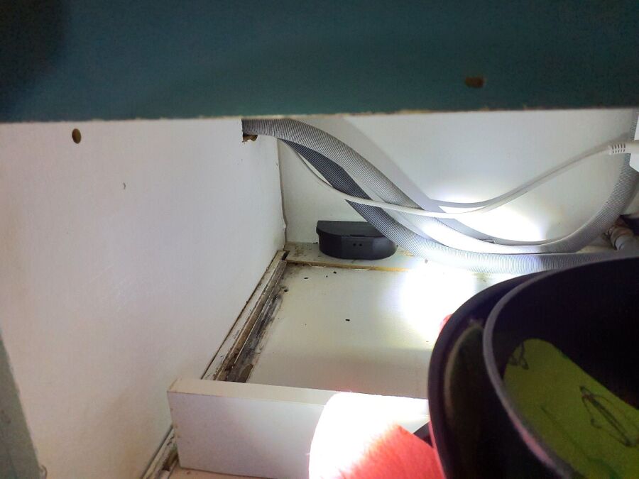 ratten_bekaempfung_ratten_vertreiben