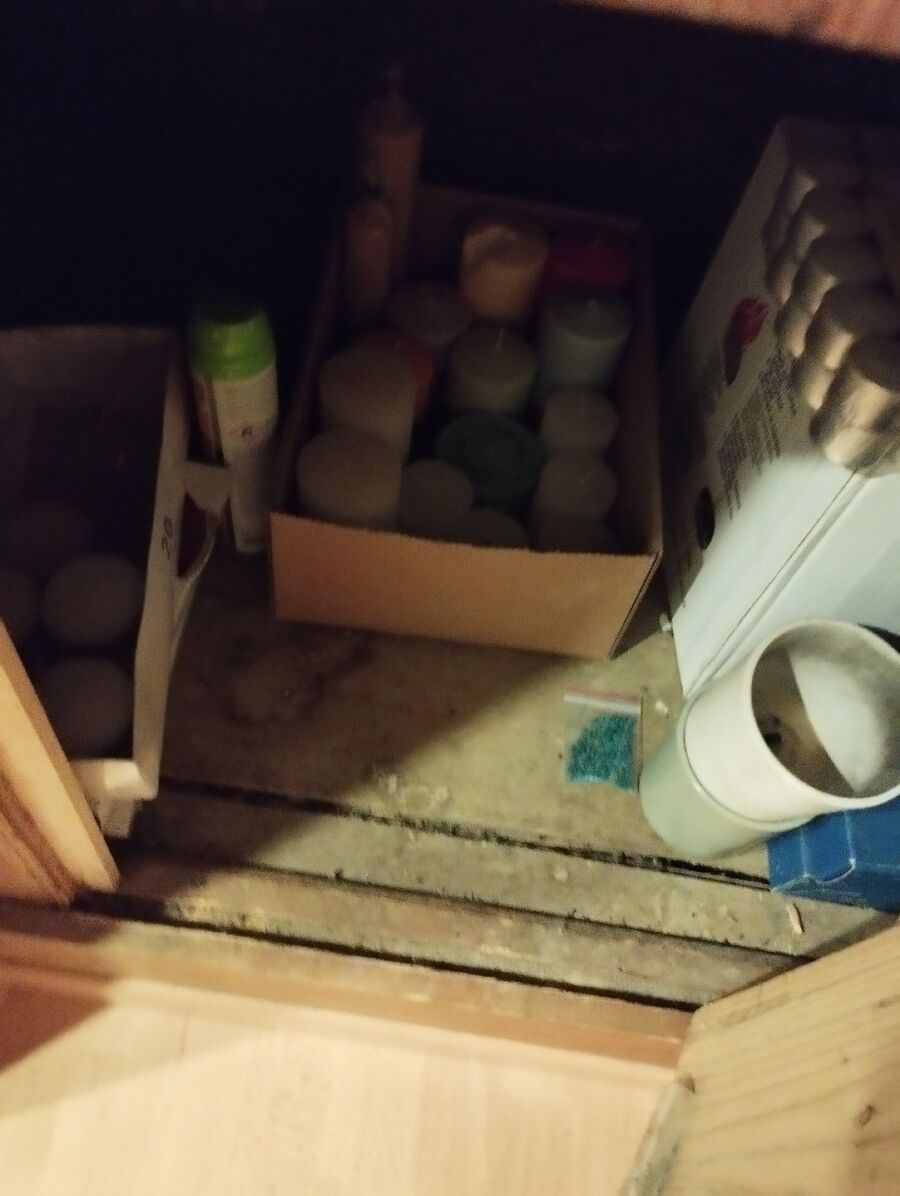 ratten_bekaempfung_ratten_vertreiben