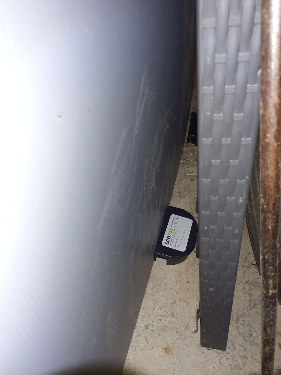 ratten_bekaempfung_ratten_vertreiben