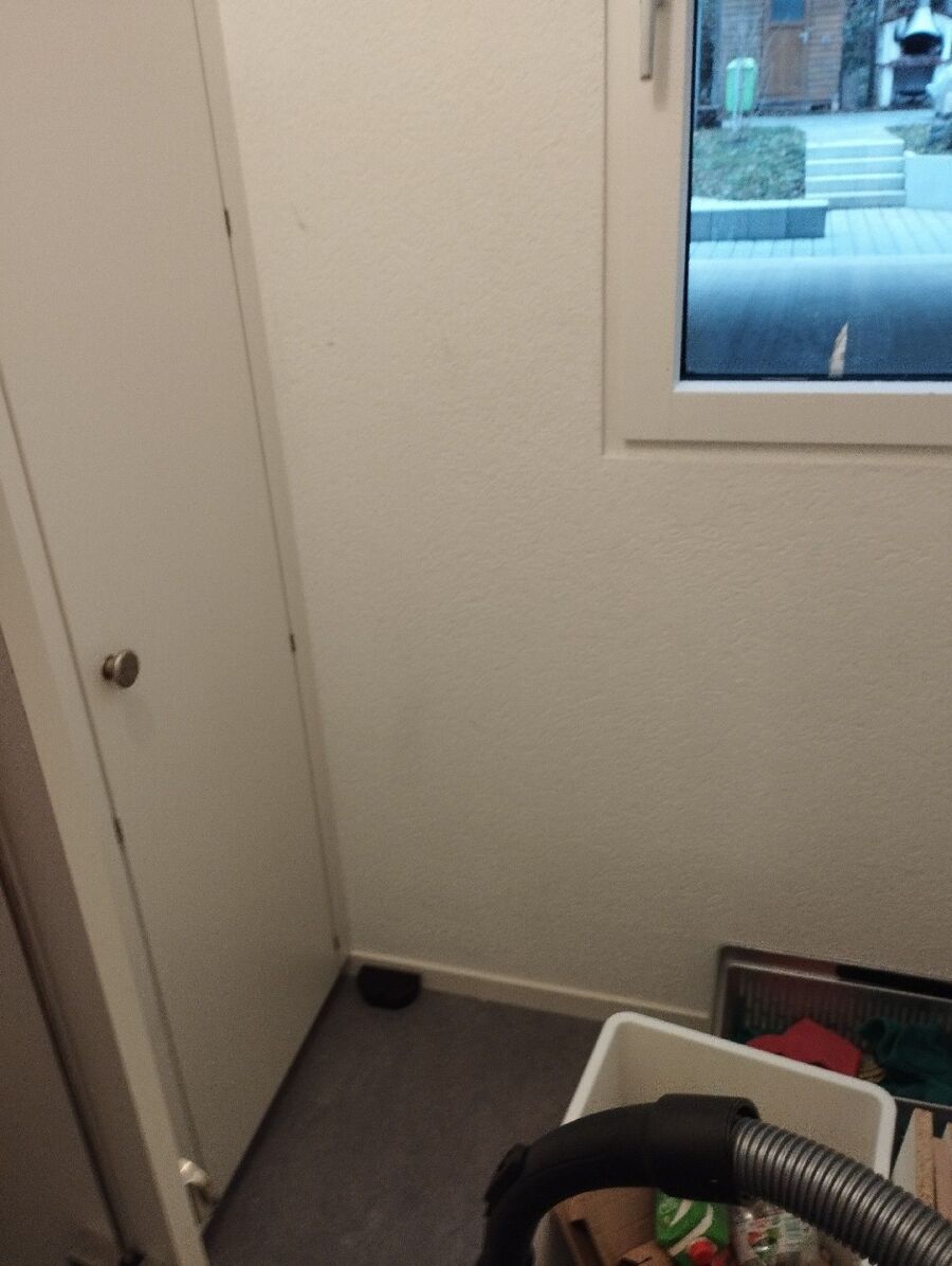 ratten_bekaempfung_ratten_vertreiben