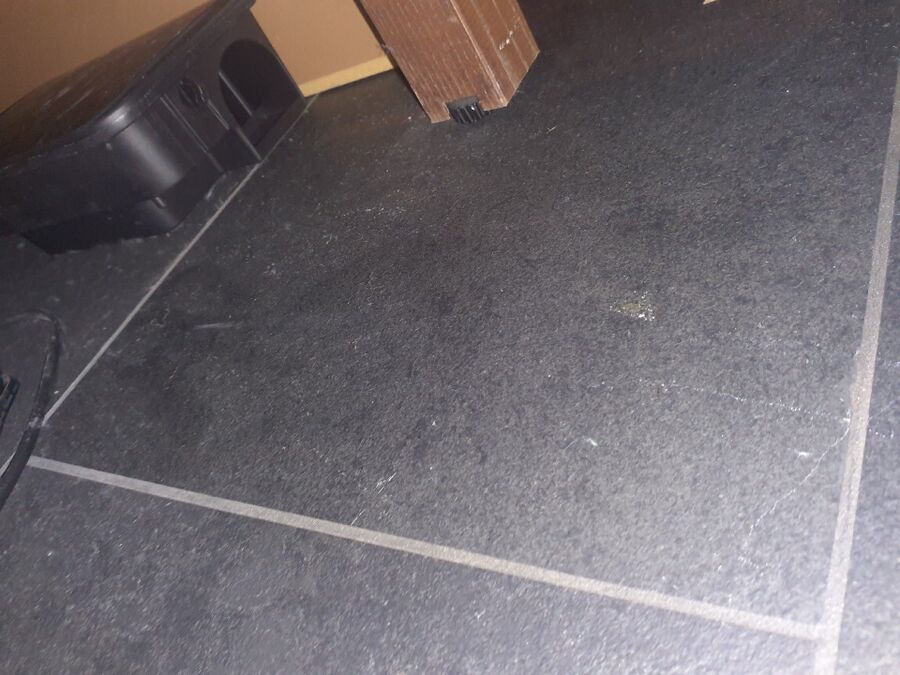 ratten_bekaempfung_ratten_vertreiben