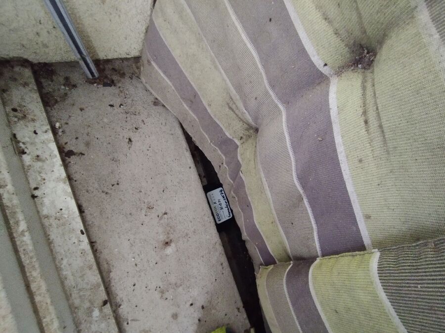 ratten_bekaempfung_ratten_vertreiben