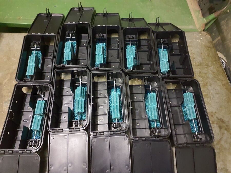 ratten_bekaempfung_ratten_vertreiben