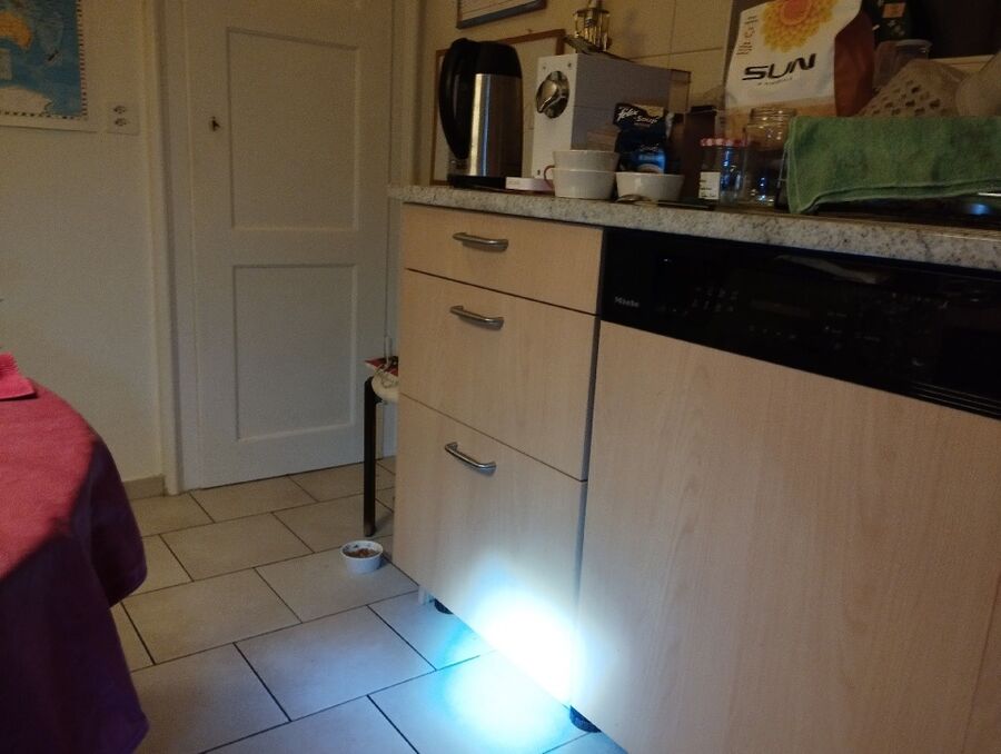 ratten_bekaempfung_ratten_vertreiben