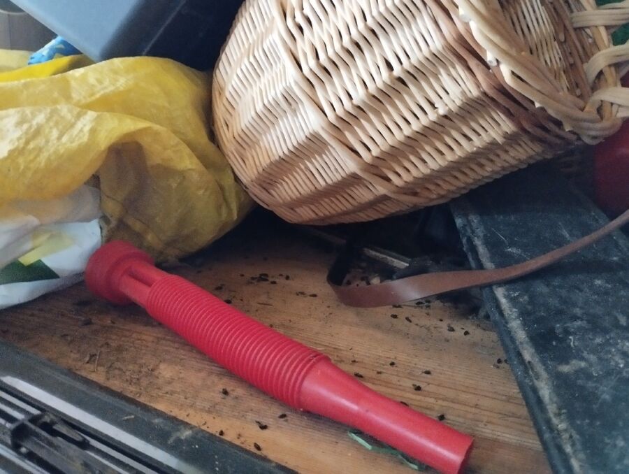 ratten_bekaempfung_ratten_vertreiben