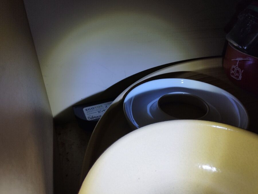 ratten_bekaempfung_ratten_vertreiben