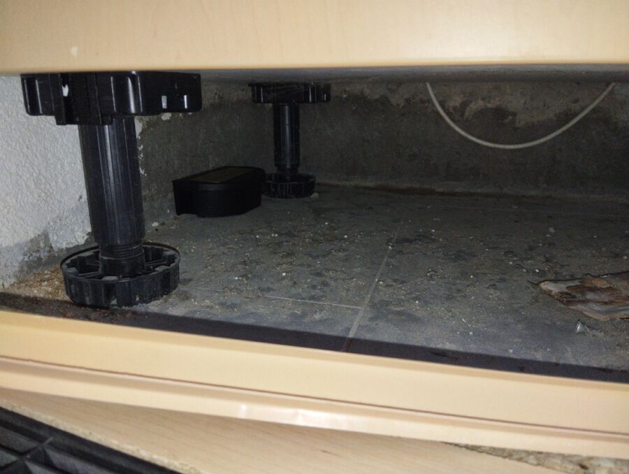 ratten_bekaempfung_ratten_vertreiben