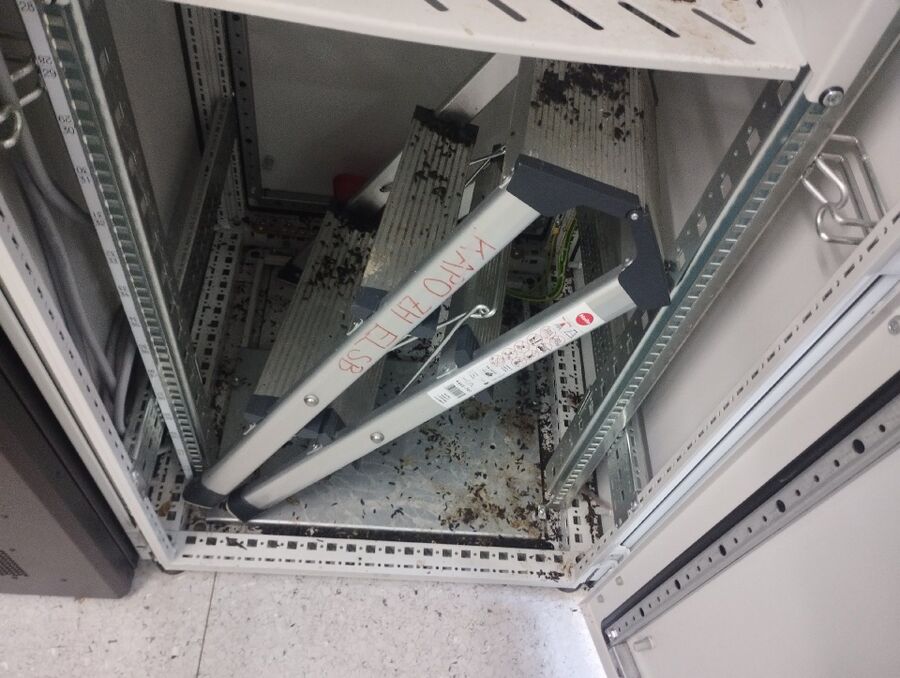 ratten_bekaempfung_ratten_vertreiben