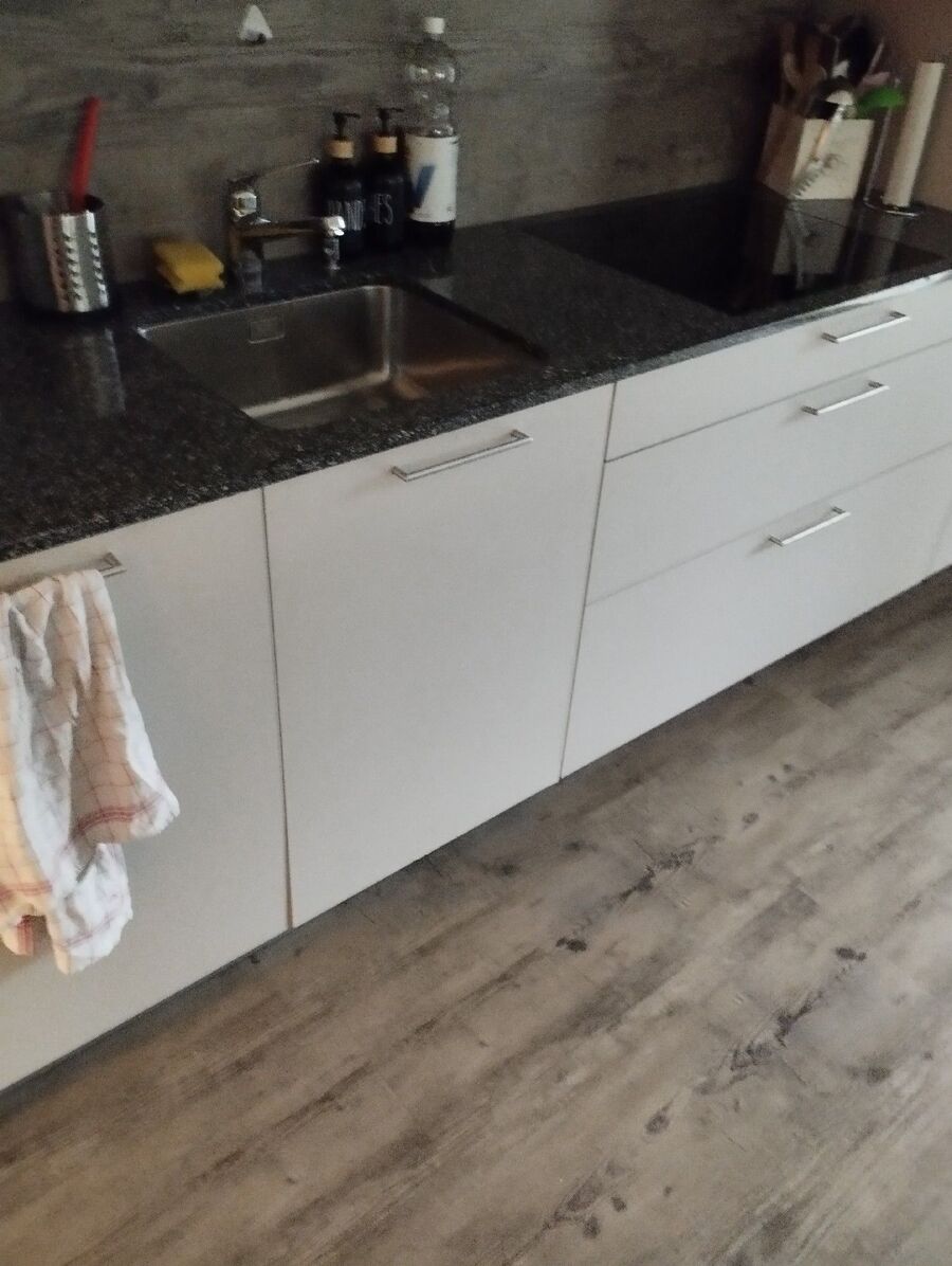 ratten_bekaempfung_ratten_vertreiben