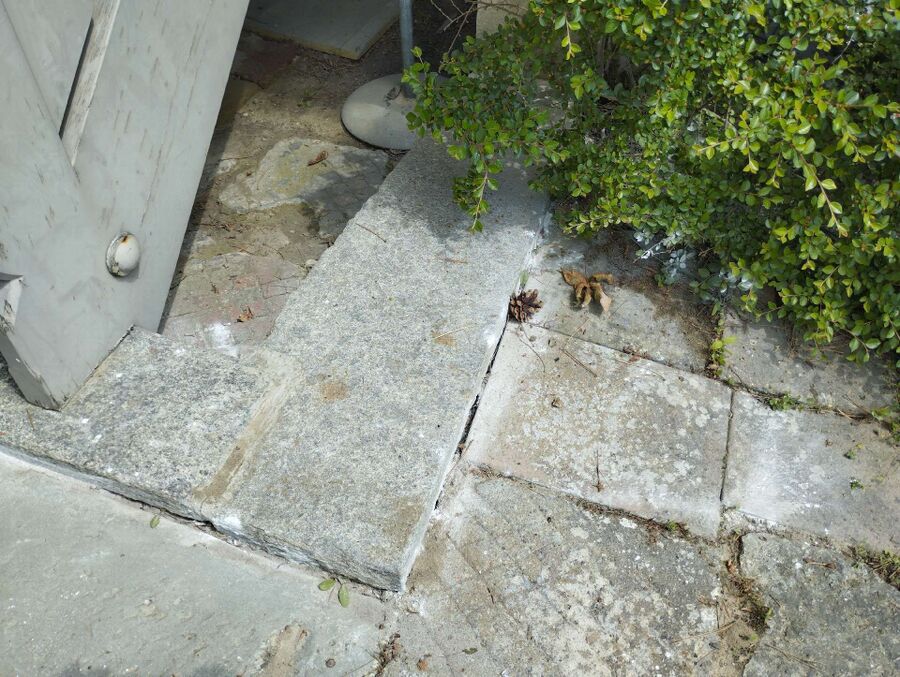 wespennest_entfernen