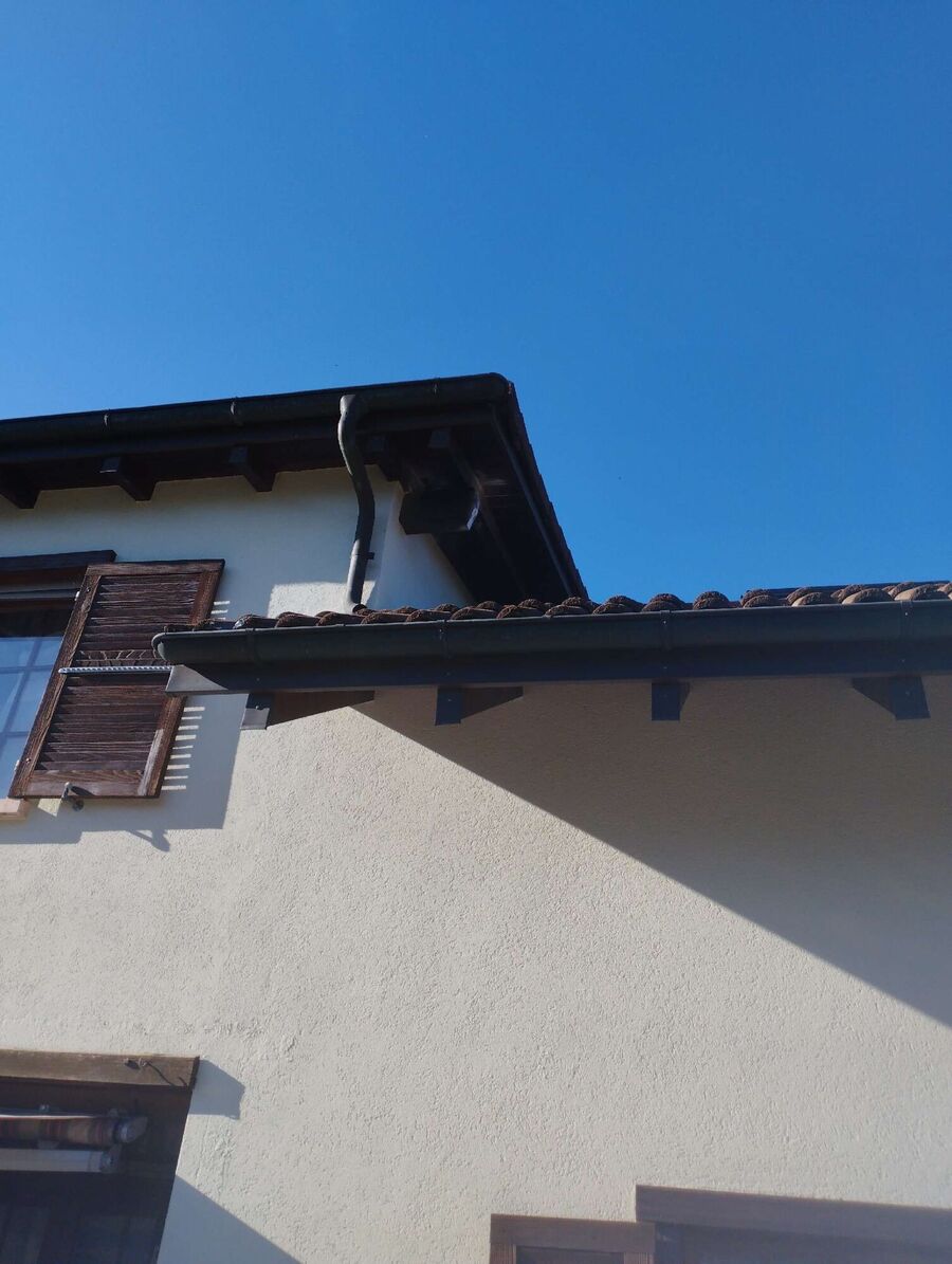 wespennest_entfernen