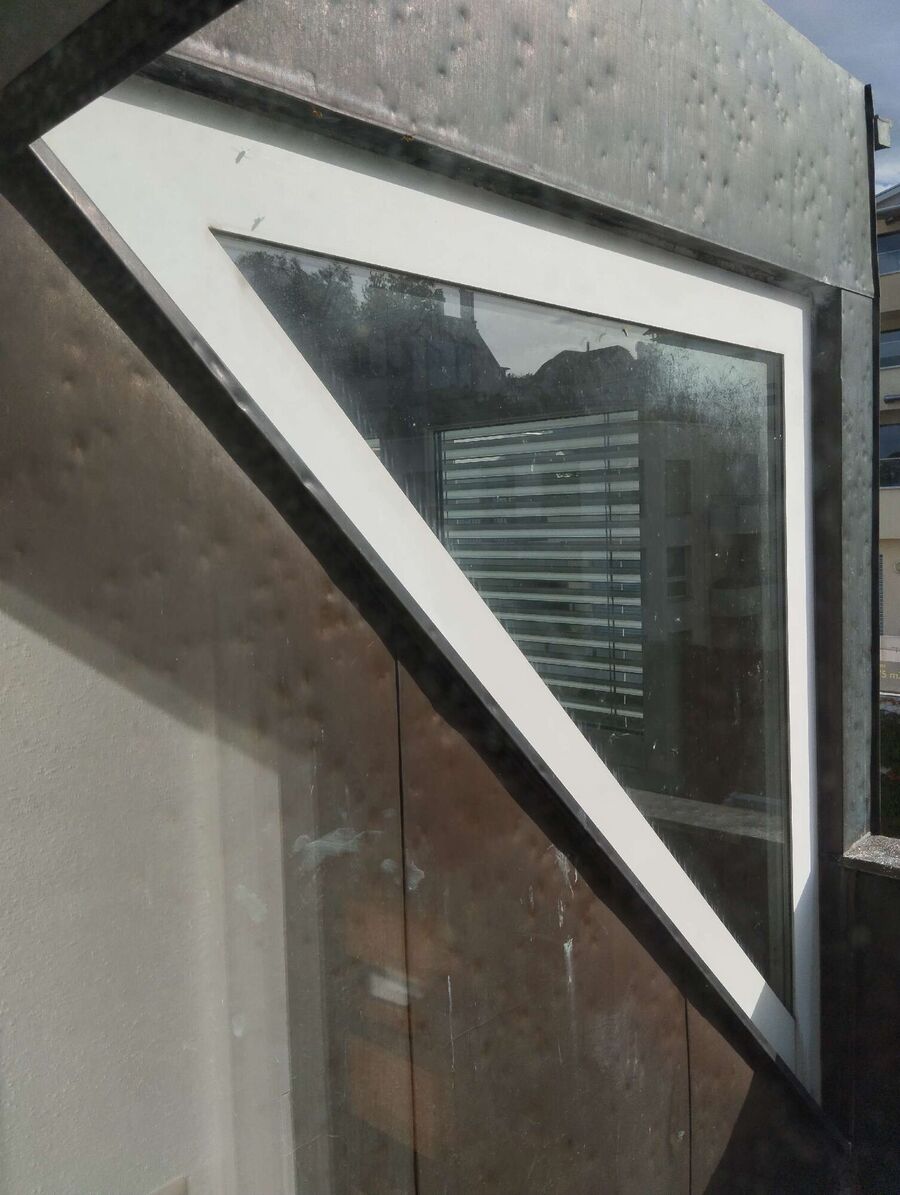 wespennest_entfernen