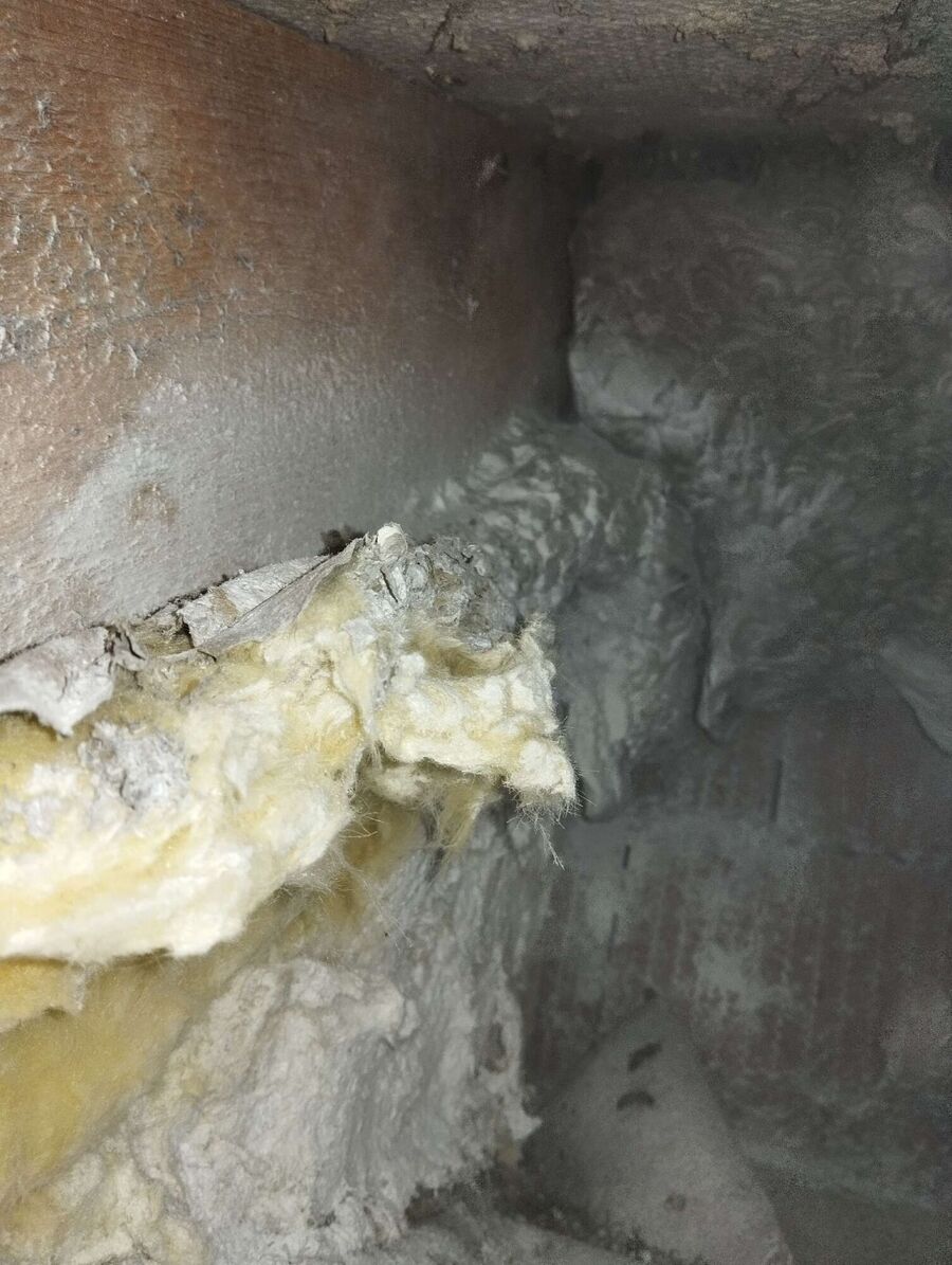 wespennest_entfernen