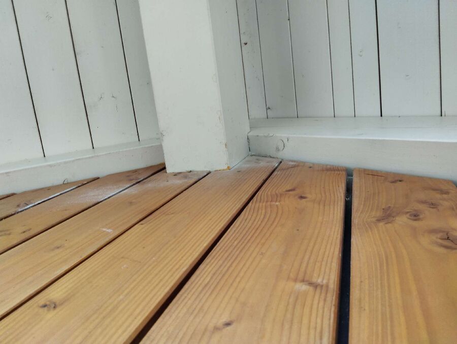 wespennest_entfernen