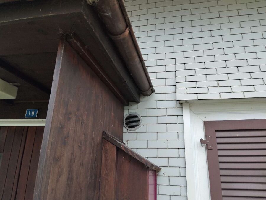 wespennest_entfernen