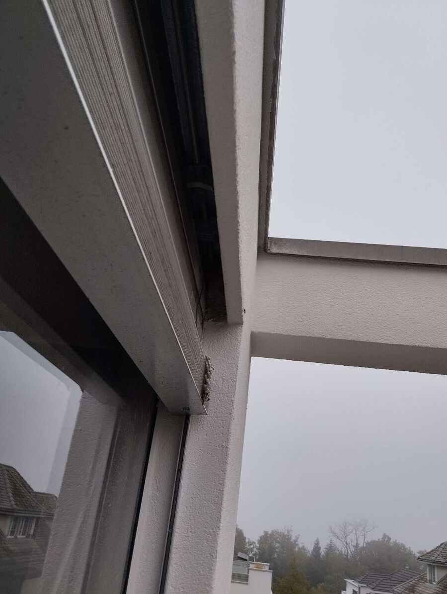 wespennest_entfernen