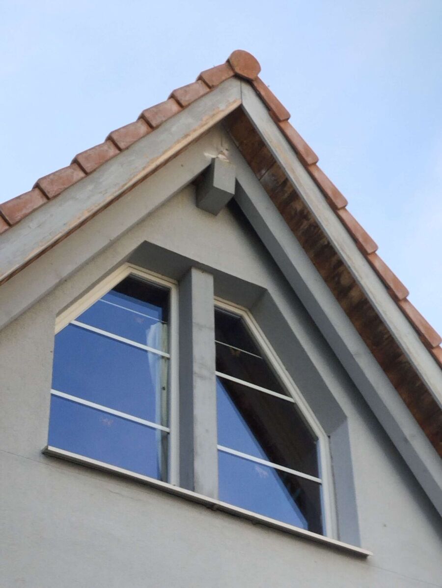 wespennest_entfernen