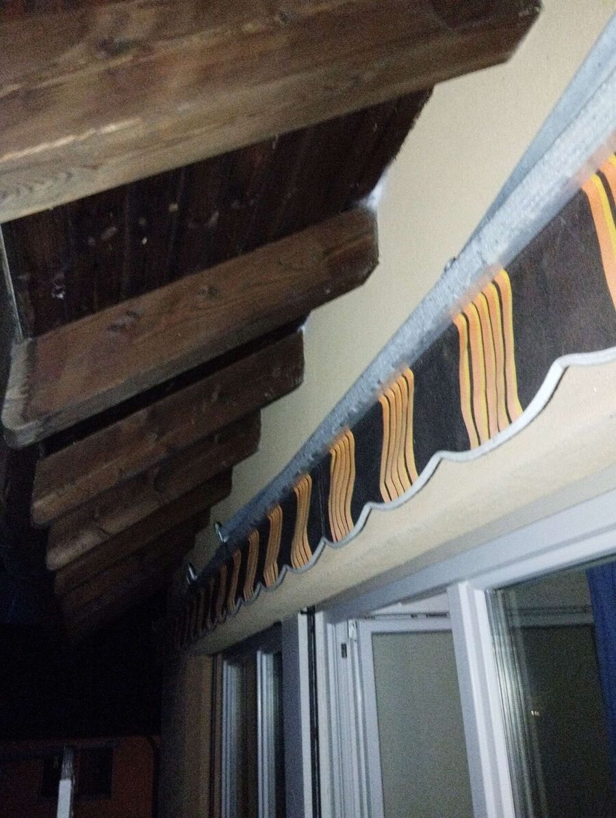 wespennest_entfernen