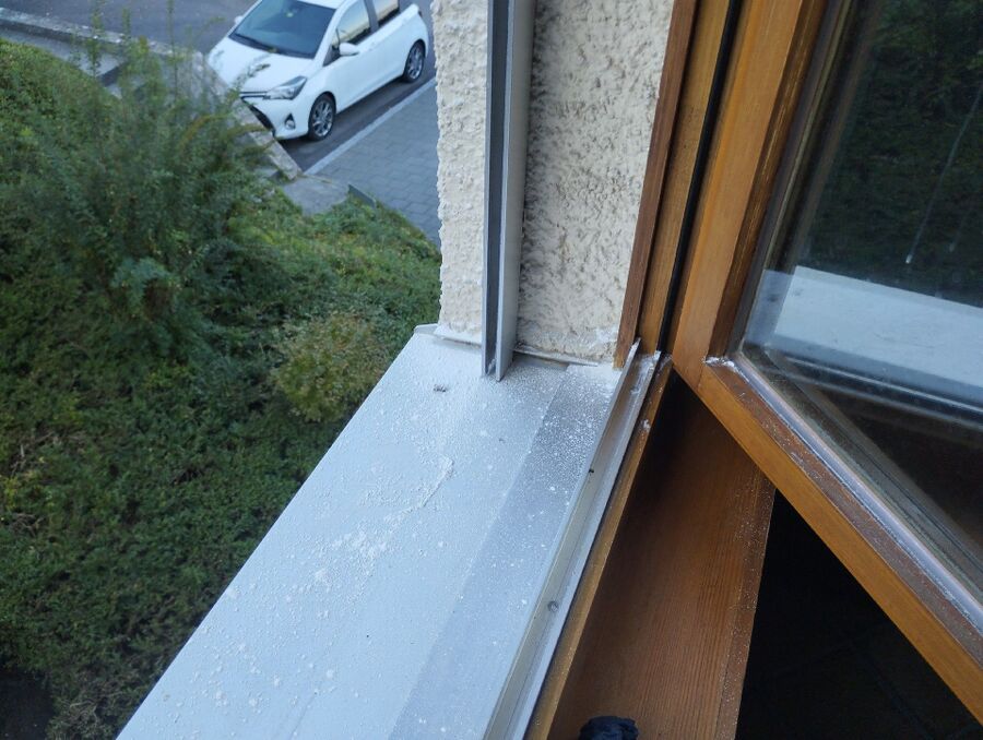 wespennest_entfernen