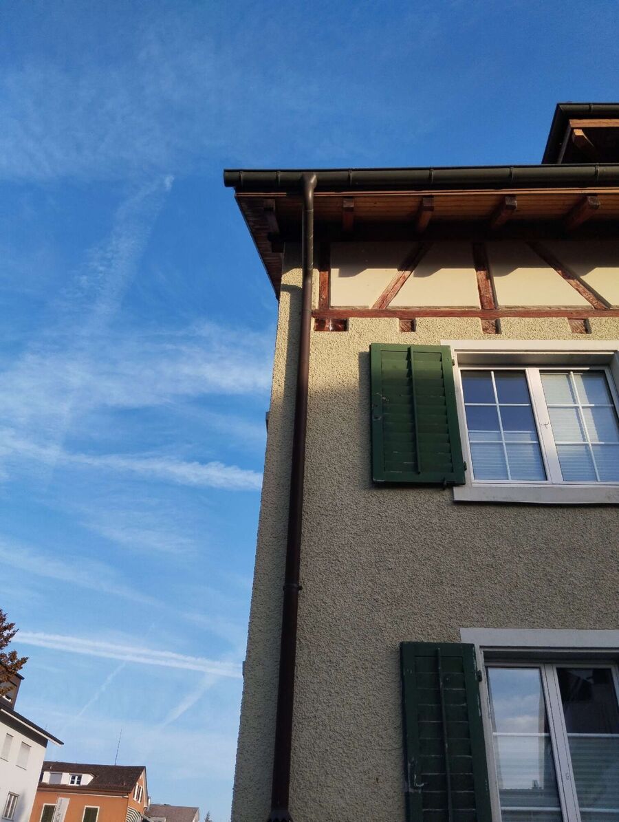 wespennest_entfernen