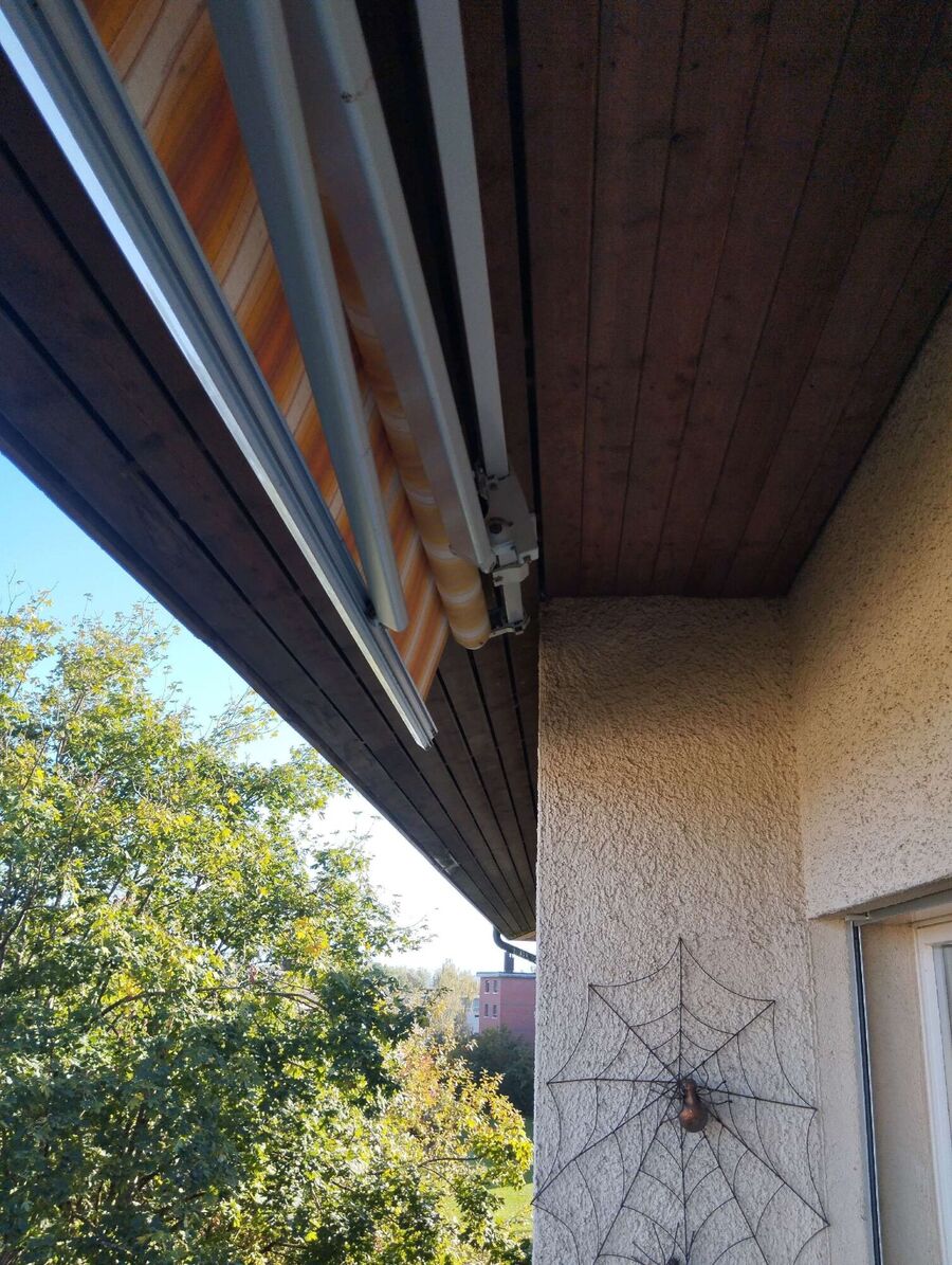 wespennest_entfernen