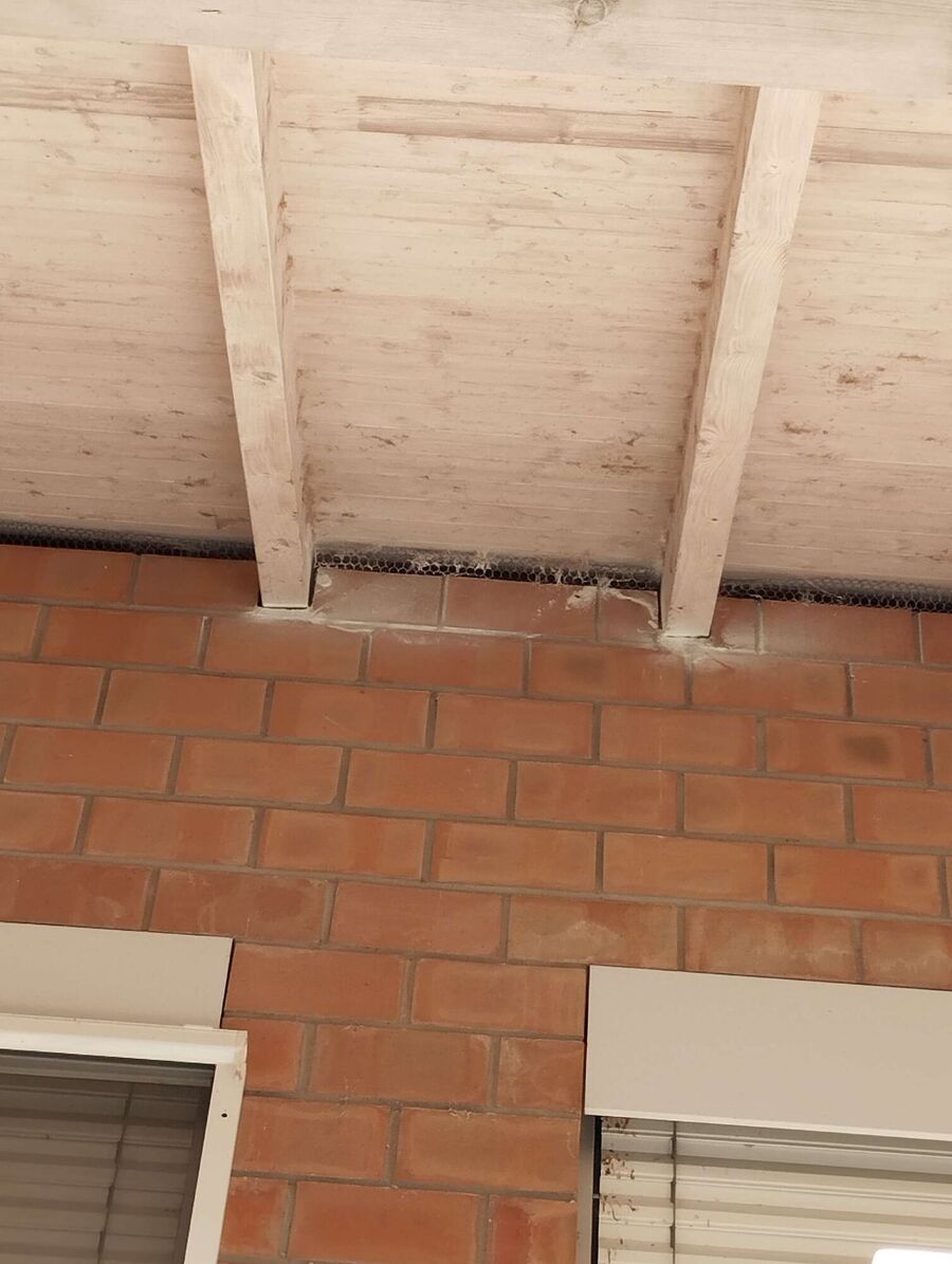 wespennest_entfernen