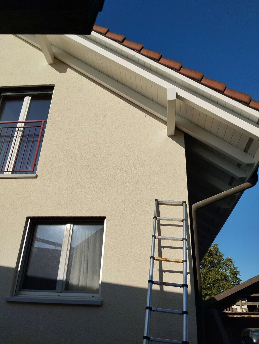 wespennest_entfernen