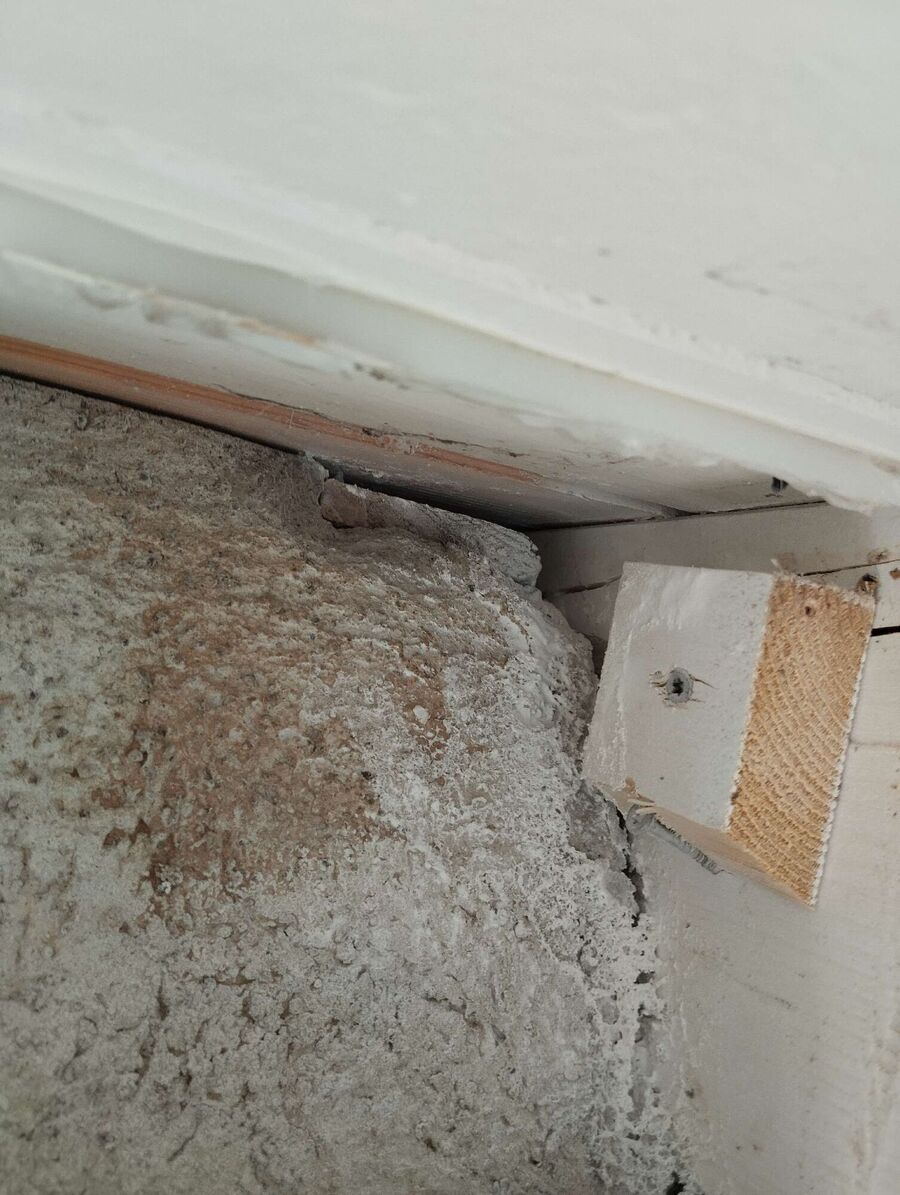 wespennest_entfernen