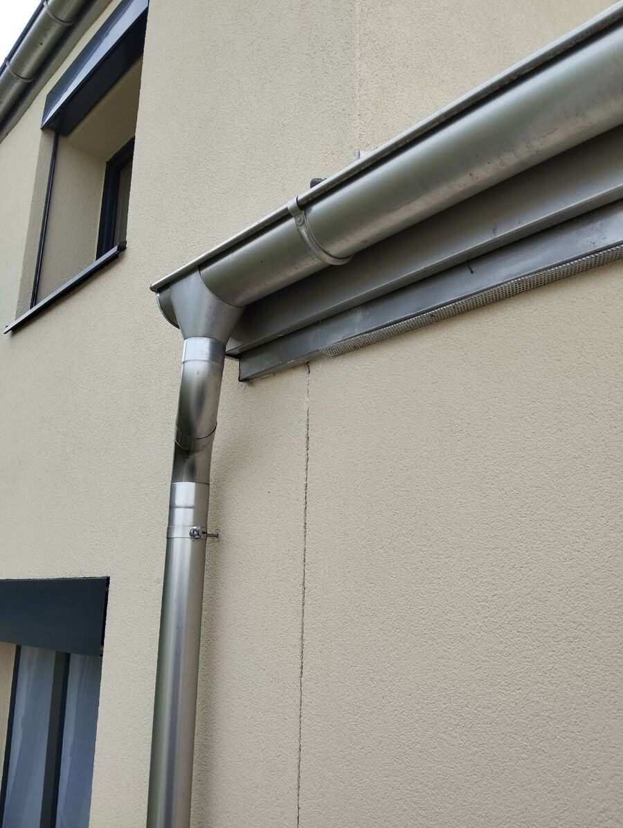 wespennest_entfernen