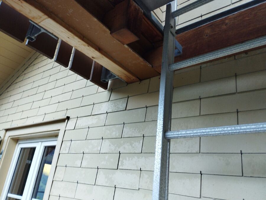 wespennest_entfernen