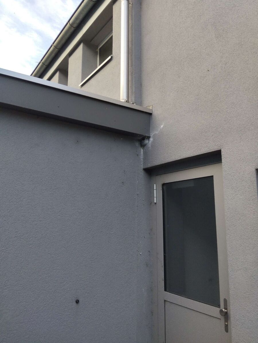 wespennest_entfernen