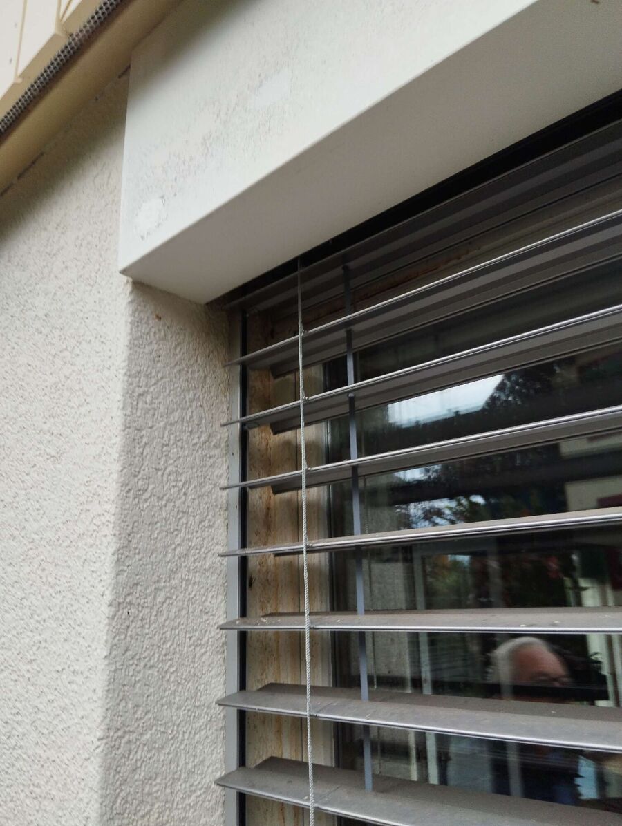 wespennest_entfernen