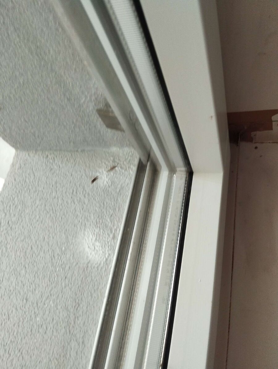 wespennest_entfernen