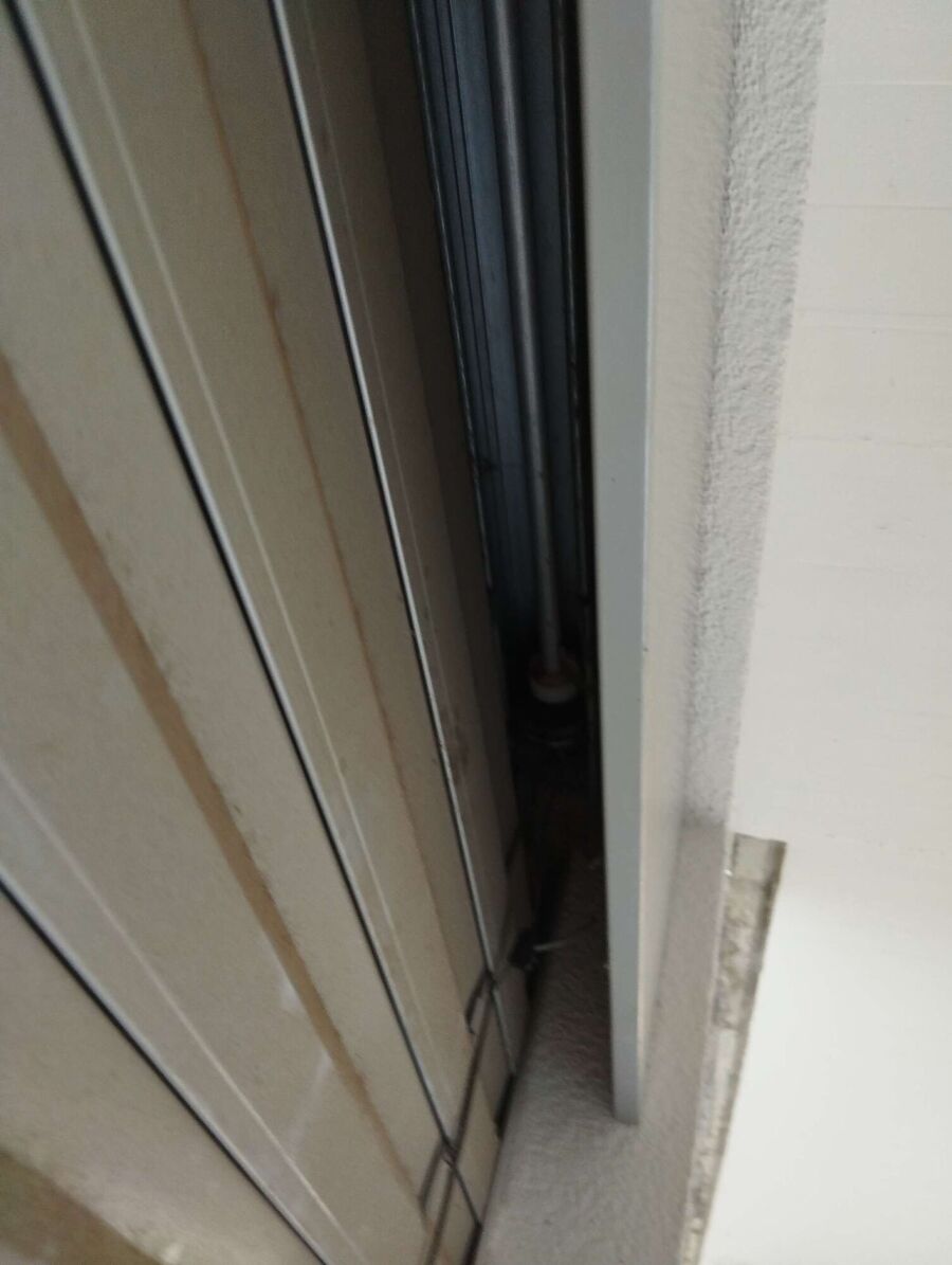 wespennest_entfernen