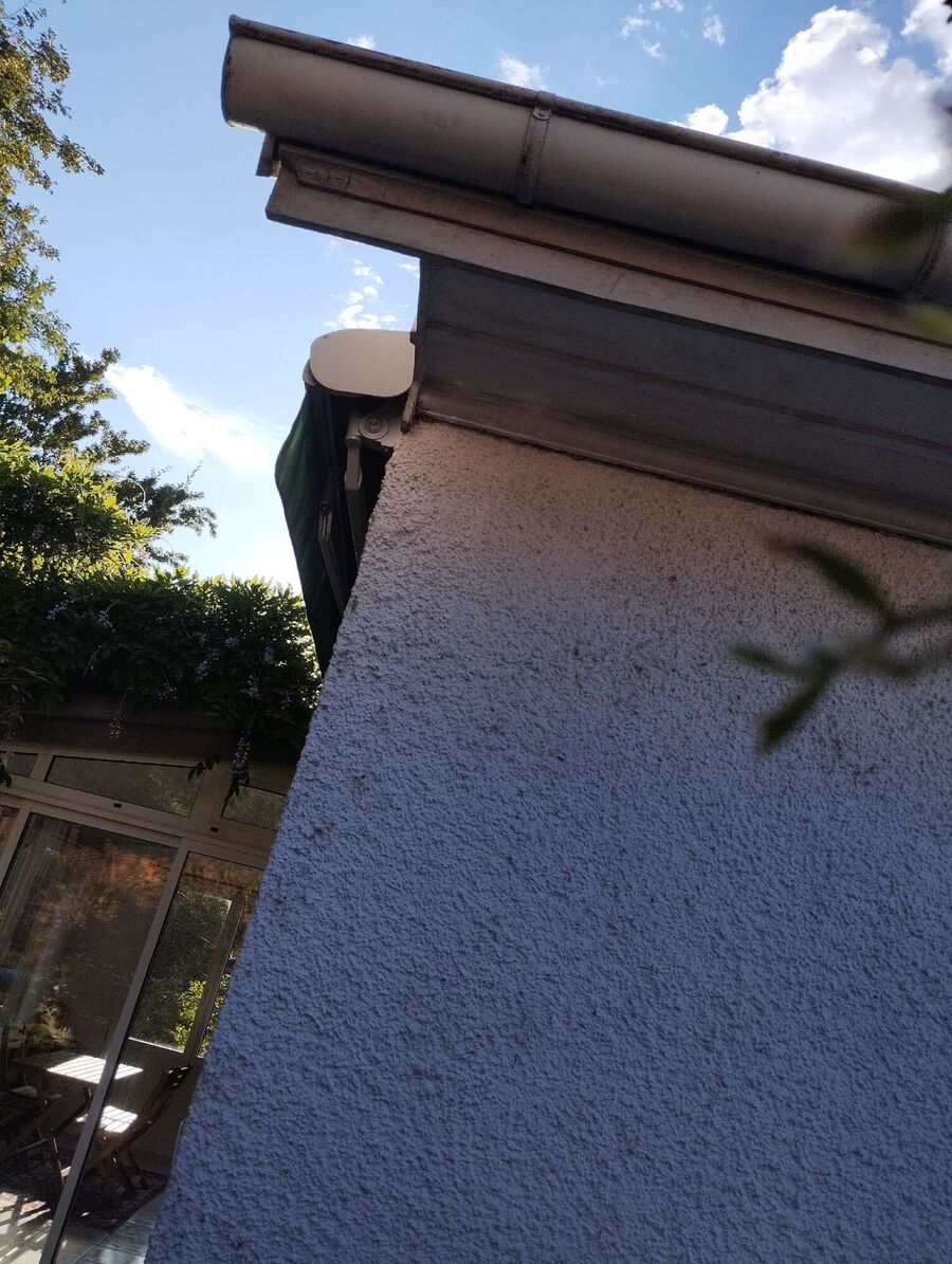 wespennest_entfernen