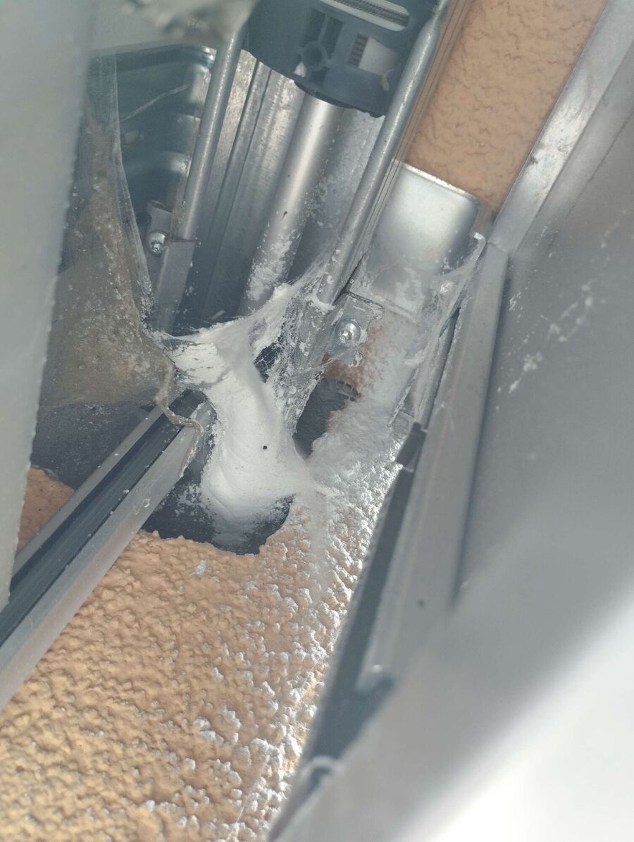 wespennest_entfernen