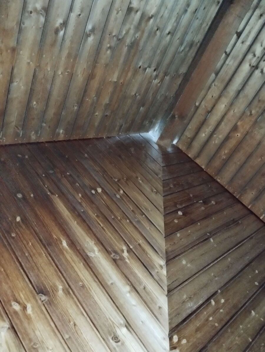 wespennest_entfernen