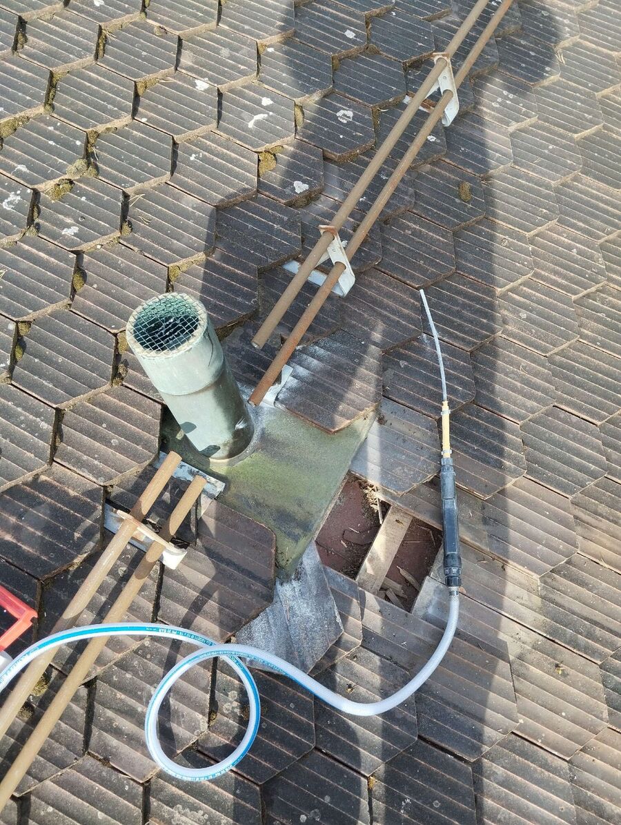 wespennest_entfernen